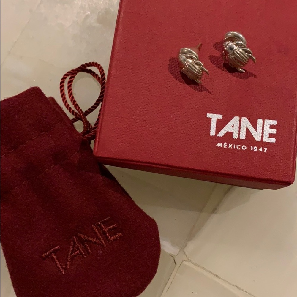 Silver earrings